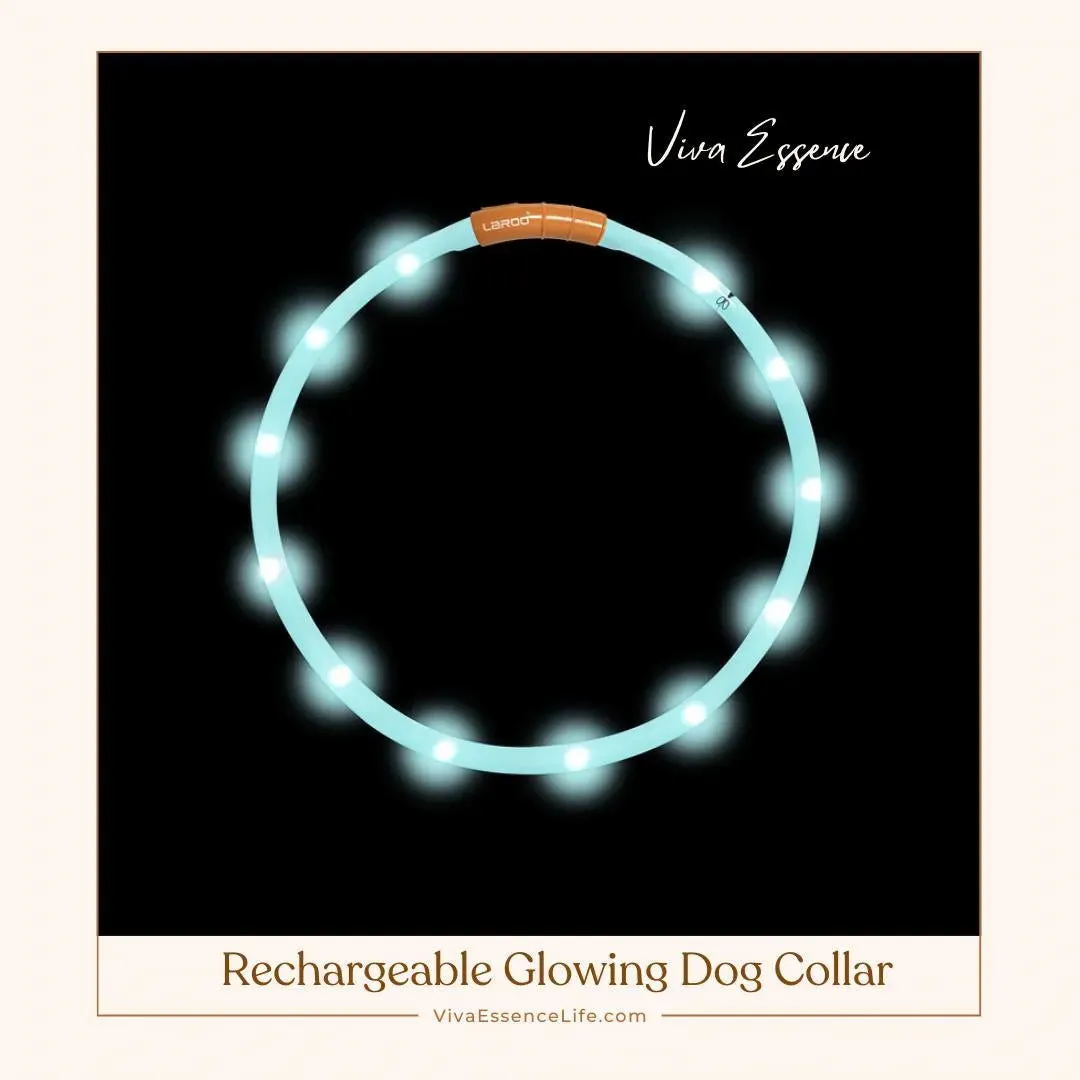 Rechargeable Glowing Dog Collar