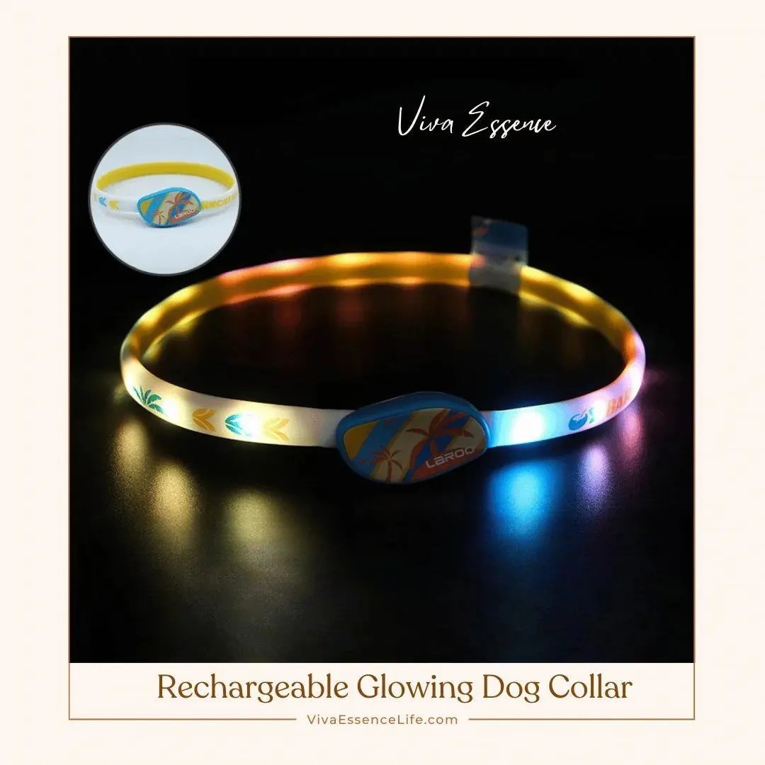 Rechargeable Glowing Dog Collar