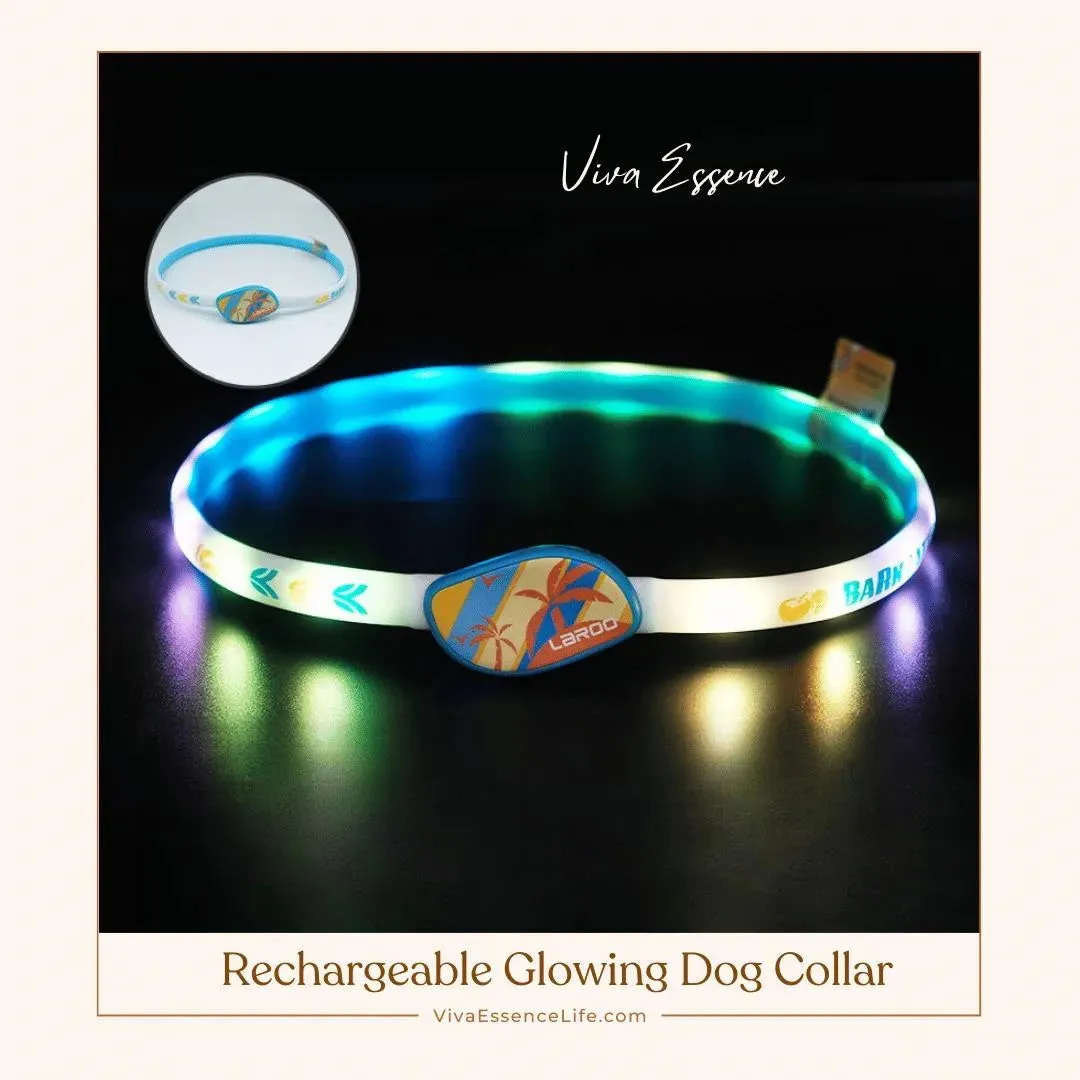 Rechargeable Glowing Dog Collar